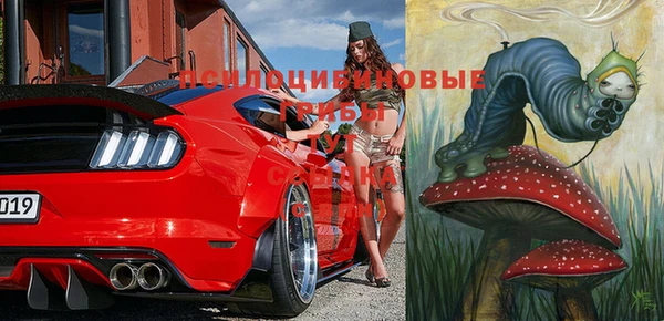 таблы Няндома