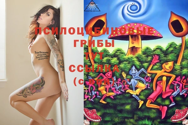 прущие крисы Беслан