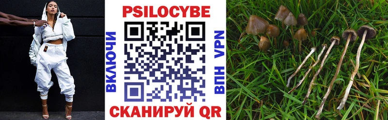 Псилоцибиновые грибы Psilocybe Усть-Кут