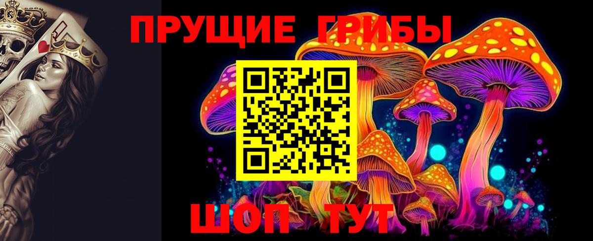 Галлюциногенные грибы Psilocybe Усть-Кут